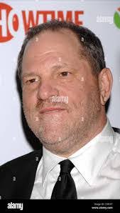 Harvey Golden's Instagram, Twitter & Facebook