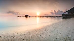 ⬇ töltsön le maldív szigetek stock képeket a legjobb stock fényképészet ügynökségnél ✔ elfogadható árak ✔ kiváló minőségű, prémium, jogdíjmentes stock fotók, képek és fényképek milliói. Maldiv Szigetek Utazas Otp Travel Utazasi Iroda