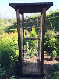 Size Selective Bird Feeding Station I Was Tired Of My Bird Feeders Being Raided By Squirrels Mag Bird Feeding Station Garden Bird Feeders Bird Feeder Station
