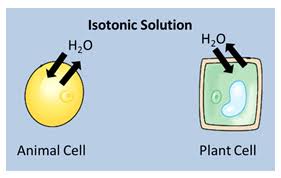 Maybe you would like to learn more about one of these? Untitled Document