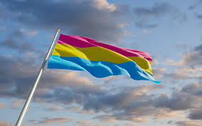 I've run into a lot of confusion over what pansexual … Pansexuality Explained What It Means To Be Pansexual 2021 Masterclass