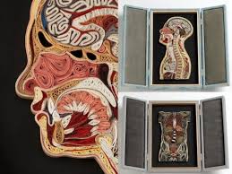 Artist lisa nilsson creates beautiful anatomical cross sections of the human body by rolling and russian artist yulia brodskaya creates incredibly detailed portraits out coiled strips of paper in an art. Beauty Will Save The World