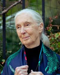 ✨ As 2024 comes to a close, let's take a moment to reflect