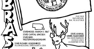 Nebraska confetti n decal price: 50 Best Ideas For Coloring Herbie Husker Images