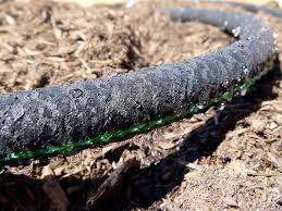 Maybe you would like to learn more about one of these? Soaker Hose Inhabitat Green Design Innovation Architecture Green Building