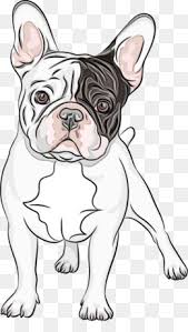 If you love bulldogs, you're not alone. French Bulldog Head Png French Bulldog Head Drawing French Bulldog Head Shapes French Bulldog Head Graphic French Bulldog Head Drawing French Bulldog Head Silhouette French Bulldog Head Coloring Pages French Bulldog Head Cartoon Cleanpng Kisspng