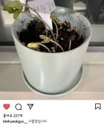 Maybe you would like to learn more about one of these? Lavem9okrdpprm