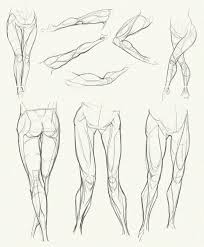 Anatomy Challenge Part 04 Legs By Azizlaswiftwind Human Anatomy Drawing Anatomy Drawing Human Body Drawing