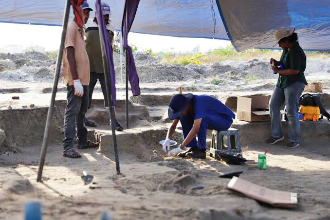 Excavations at Chemmani mass grave to resume on April 20 - DailyNews