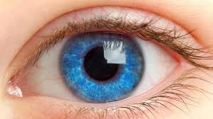 Black And Blue Eyes After Head Injury Image Result For Dark Green Blue Eyes Human Eye Eye Drawing Eye Sight Improvement