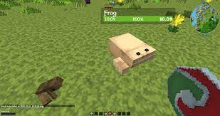 Named snow golems with a pumpkin head will drop a head with the same name as theirs if killed by a witch. Suggestion Frog Model Enhancement Issue 1382 Vazkii Quark Github