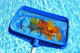Check spelling or type a new query. Rising Sun Pools Spas Service Efficient And Reliable