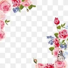 Flower Borders Png Vector Psd And Clipart With Transparent Background For Free Download Pngtree In 2020 Flower Border Png Flower Border Birds Painting