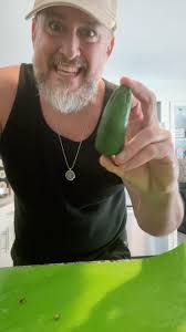 ShaunAustin Gordon Type 7 ENFP (@shaunaustin) • Instagram photos and videos