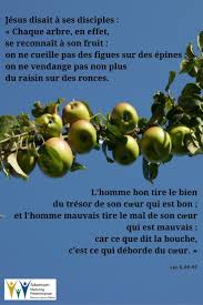 Pin On Textes Bibliques Du Lectionnaire Catholique