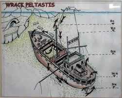 Check spelling or type a new query. Peltastis Wreck Siloi Roncs Merulohely Krk Horvatorszag Divecenter Hu