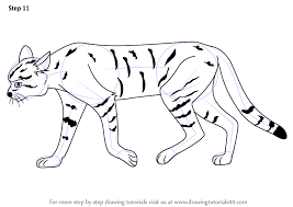Supercoloring.com is a super fun for all ages: Learn How To Draw An African Wildcat Wild Animals Step By Step Drawing Tutorials