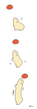 Pin On Guinea Pigs Make Great Pets