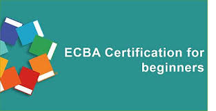 Business Analyst Certification For Beginners Ecba Techcanvass