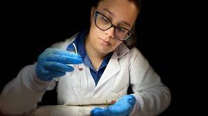 Abrates ativa Comitê Técnico de Análises de Sementes para atender demanda  do setor