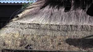 How much does it cost to install a thatched roof? Thatching A Roof Youtube