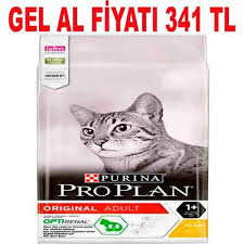 proplan tavuklu kedi mamasi 10 kg amazon pet center kedi balik yagi somon