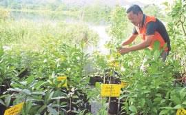 Datuk mohamed noor bin shamsuddin (born 1 march 1967), known professionally as rosyam nor, is a malaysian actor, television host, film producer and politician. Jiwa Tani Rosyam Nor