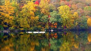 Here are some graffiti background images for creative people to make a statement in video meetings on microsoft teams. Custom Backgrounds Gallery For Microsoft Teams Microsoft Adoption