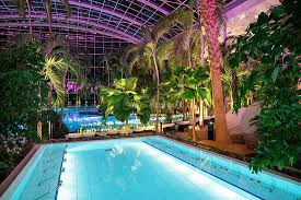 Mehr als 460 echte südseepalmen, türkisblaue lagunen mit poolbars. Calcium Lithium Becken Im Palmenparadies Picture Of Thermen Badewelt Sinsheim Sinsheim Tripadvisor
