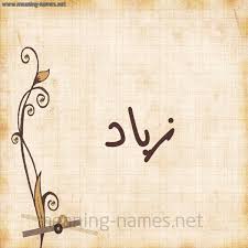 اسم زياد مكتوب علي صور arabic calligraphy calligraphy image