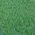 Couch Grass Vs Kikuyu