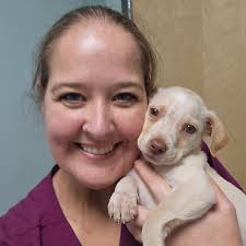 Affordable Spay & Neuter Clinic in Milton, FL