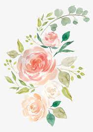 Download Floral Aquarela Flor Sticker By Siimone Hand Drawn Flowers Png For Free Nicepng P Flower Drawing Watercolor Flower Art Watercolor Flower Background