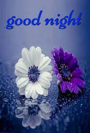 Pin By Kelly On Good Night Good Night Greetings Good Night Blessings Good Night Image