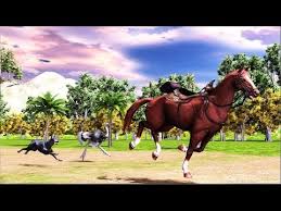 By, camel, committee, design, horse. Dog Vs Horse Vs Ostrich Running Race For Kids Youtube