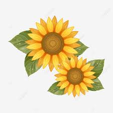 We did not find results for: Kx9sdawacs Vxm