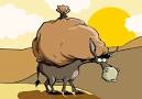 نتیجه تصویری برای معنی ضرب المثل ” خر بیار و باقالی بار کن ” + داستان