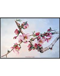 Most cross stitchers start in the middle but you can really start anywhere you. Japanese Cherry Blossoms Counted Cross Stitch Patterns Ankicoleman Designs Cross Stitch