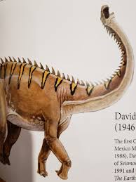 Veľakrát sa podľa výpočtov muselo jednať o neuveriteľné gigantické tvory. Seismosaurus Hashtag On Twitter
