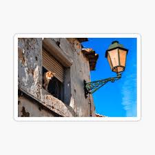 Forgo table lamps on the nightstands, and position wall sconces beside the headboard instead. European Meme Stickers Redbubble