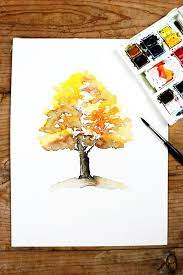 May 31, 2021 · the binder dissolves in water allowing the pigment to diffuse and spread. Everything You Need To Know About How To Use Watercolor Painting Tree Watercolor Painting Watercolor Paintings For Beginners Tree Watercolor