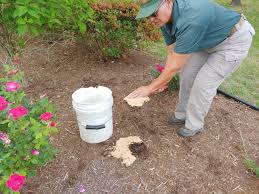 You can just take the mold and remove it as far as possible from the vicinity of your garden. Slime Mold On Mulch Green Side Up Garden Gifts