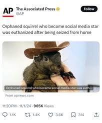 Kody Simpson (@kodysimp)