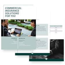 Life insurance can deal with lots of personal or delicate information. Insurance Proposal Template Free Sample Proposify