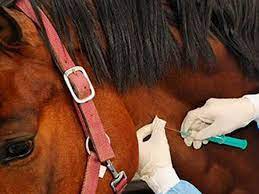 Falsa vacunacion de famosos y politicos. Medicina Preventiva