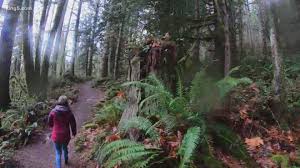 Next generation hiking trail maps. Fight To Stop Logging Near Wallace Falls State Park Complicated By School Funding Ties King5 Com