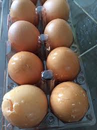 Berikut kami akan bagikan daftar harga. Kembang Tekak Banyak Kali Dah Terkena Dapat Telur Busuk Berulat Fokus Cari Infonet