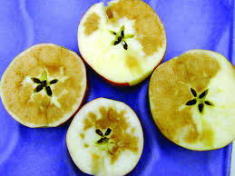 If a grapefruit does not produce fruit, perhaps it has not been growing long enough. The Dark Side Of Honeycrisp Growing Produce