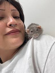 Goodbye to my beloved boxer dog