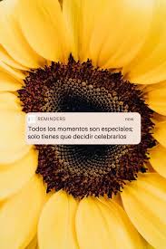 Bueno is the basic way to say good in spanish. 25 Positive Quotes In Spanish That Will Make Your Day Paulina On The Road